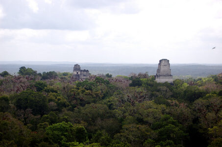 How to Include Locals, Environmentalists Disagree Image